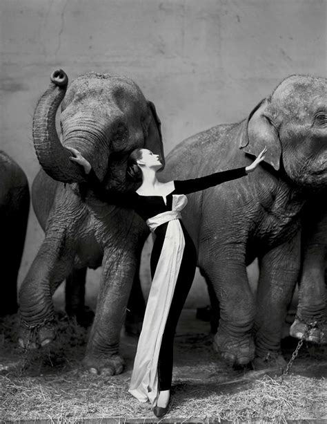 RICHARD AVEDON (1923–2004), Dovima with Elephants, 